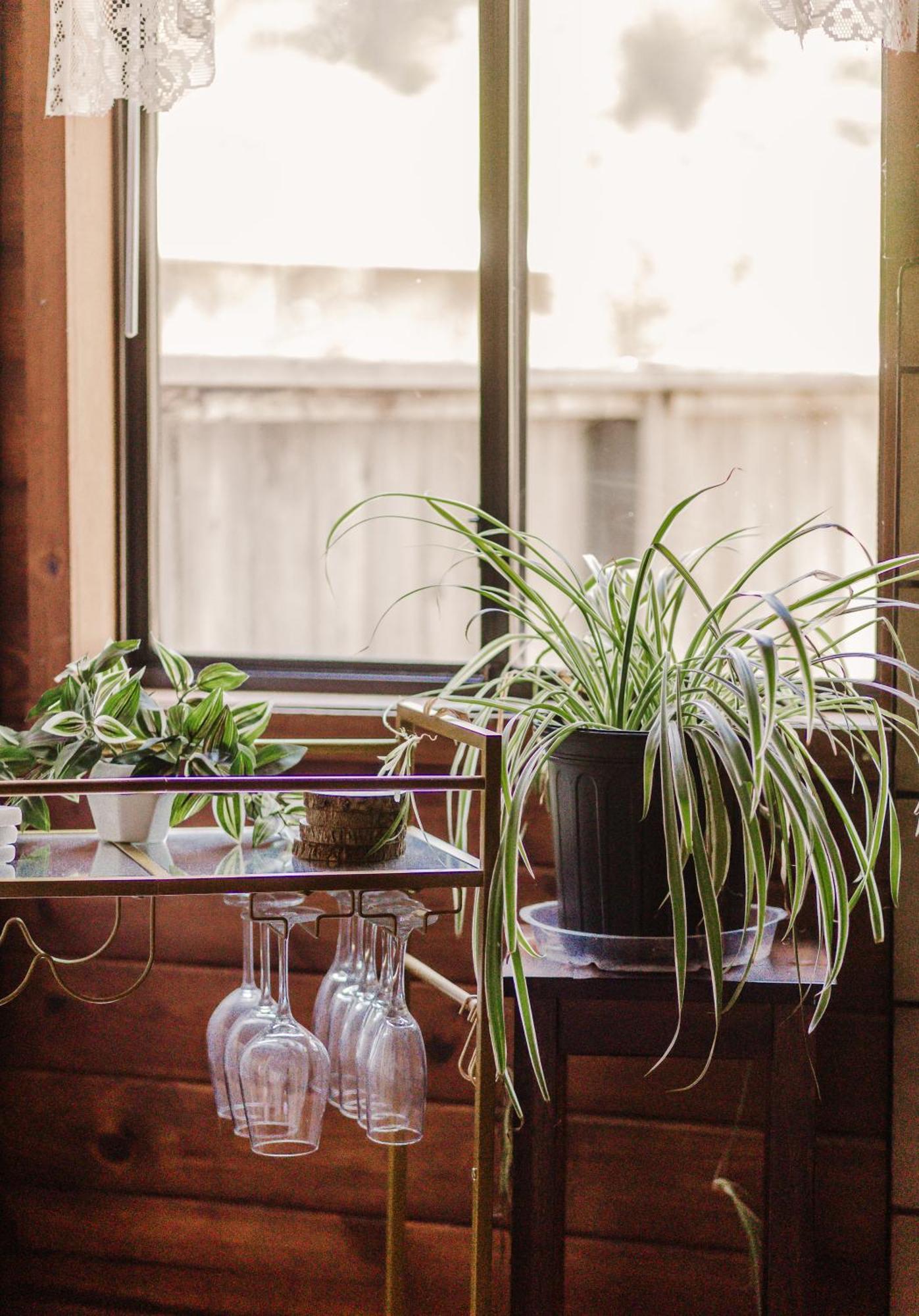 Retreat To Stella Maris Soul By The Russian River